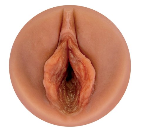 PDXP - Dyskretny Masturbator Jak Szampon Shower Shower Milk Honey Tan PDX Plus PDXP - Dyskretny Masturbator Jak Szampon Shower Shower Milk Honey Tan PDX Plus