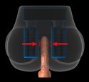 Pdx Elite - Realistyczny Masturbator Tors Z Pośladkami Pochwą I Odbytem + Pilot PDX Elite