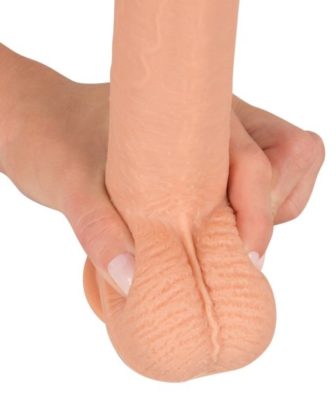 Realistixxx - Xl Naturalne Dildo Z Żyłami Żołędziem I Jądrami 21.7cm Realistixxx Realistixxx - Xl Naturalne Dildo Z Żyłami Żołędziem I Jądrami 21.7cm Realistixxx