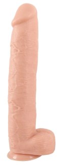 Realistixxx - Xxxl Naturalne Dildo Z Żyłami Żołędziem I Jądrami 42cm Realistixxx