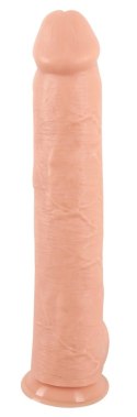 Realistixxx - Xxxl Naturalne Dildo Z Żyłami Żołędziem I Jądrami 42cm Realistixxx