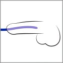 You2Toys - Rozszerzacz cewki moczowej - zestaw - 3 szt You2Toys