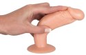 You2Toys - Zestaw dildo do treningu analnego You2Toys