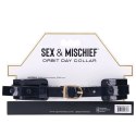 Sportsheets - Sex & Mischief Obroża Na Szyję Z Pierścieniem Na Smycz Sportsheets