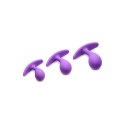 Silikonowy zestaw do treningu analnego XR Brands XR Brands