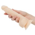 Pulsator - Naked Addiction Thrusting Dong with Remote 23 cm Vanilla Naked Addiction