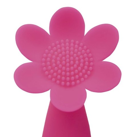 Wibrator - FeelzToys Daisy Joy Pink FeelzToys Wibrator - FeelzToys Daisy Joy Pink FeelzToys