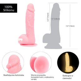 Dildo - Addiction Brandon Dong 19 cm Glow in the Dark Pink Addiction