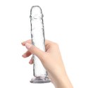 Dildo - Addiction Crystal Addiction Vertical Dildo 23 cm Addiction