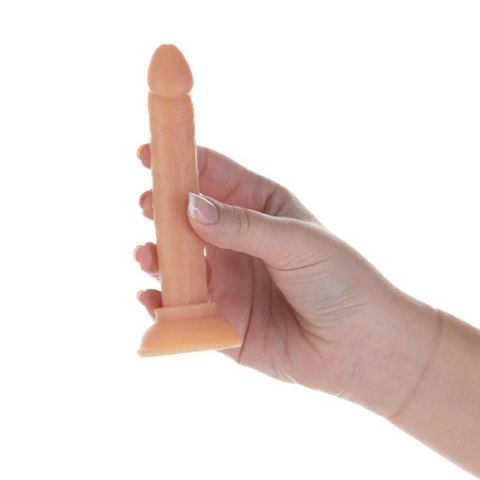 Dildo - Addiction Tino Dong 13 cm Addiction Dildo - Addiction Tino Dong 13 cm Addiction