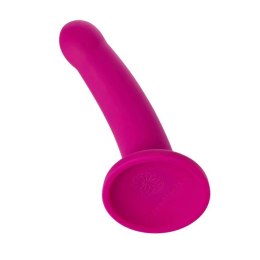 Dildo - Sportsheets Nexus Galaxie Plum Sportsheets