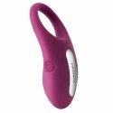 Pierścień erekcyjny wibrujący - Svakom Winni Vibrating Ring Violet Svakom